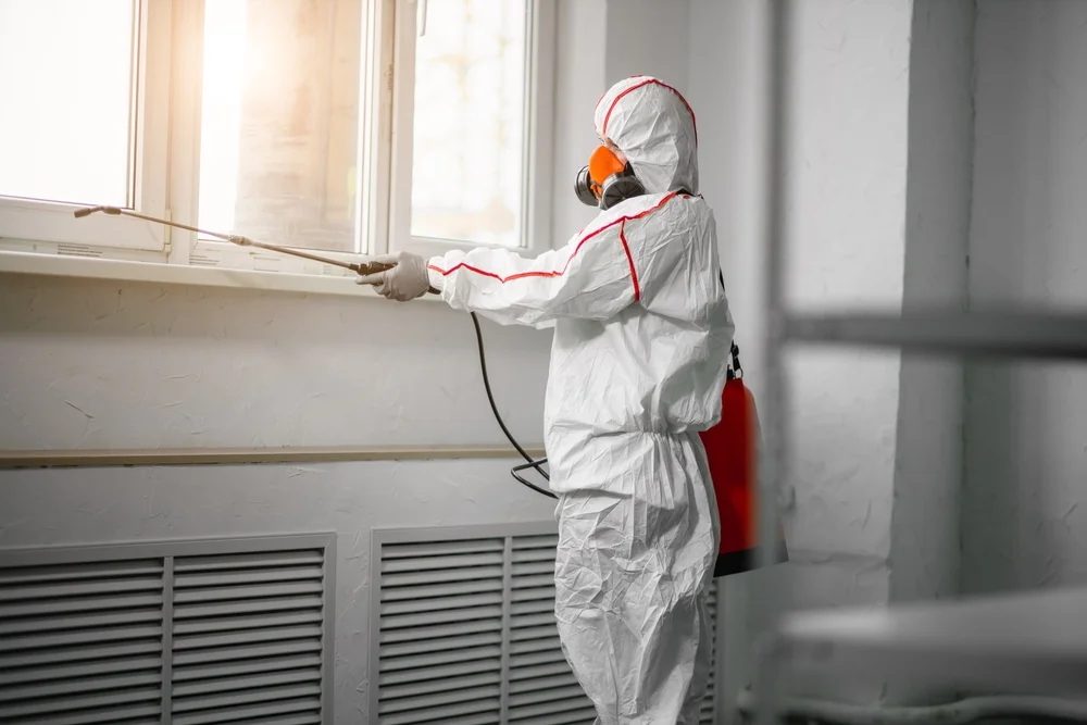 Professional mold remediation services in River Ranch, FL